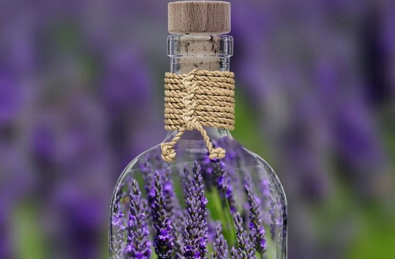 Lavender and Lavender Essential Oil Uses, Benefits and Information